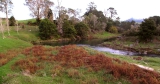 Sharp bend in the Ohinemuri River. 2006